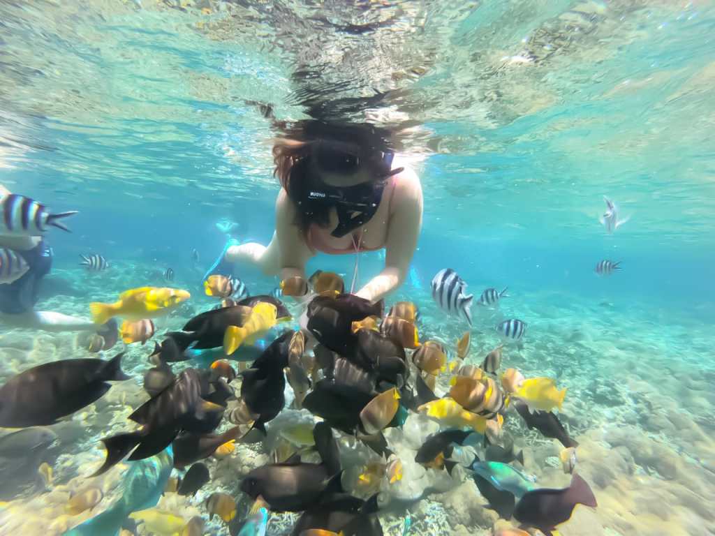 Activities Trip Snorkling & Diving&nbsp;Time