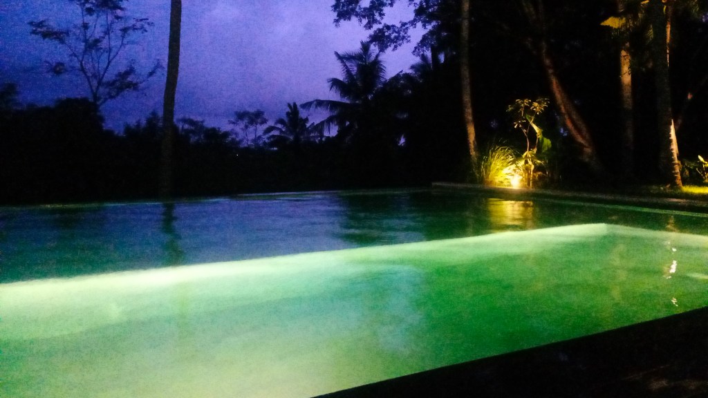 The Only One in the World, Only in&nbsp;Bali